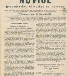 Kmetijske in rokodelske novize(1876) document 519054