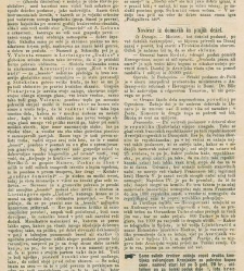 Kmetijske in rokodelske novize(1876) document 519085