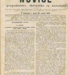 Kmetijske in rokodelske novize(1876) document 519086