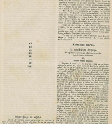 Kmetijske in rokodelske novize(1876) document 519224