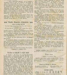 Kmetijske in rokodelske novize(1876) document 519323