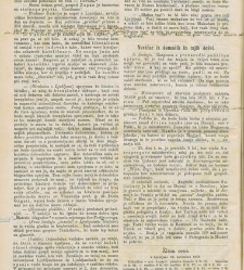 Kmetijske in rokodelske novize(1876) document 519387