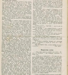 Kmetijske in rokodelske novize(1876) document 519415