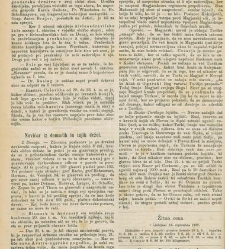 Kmetijske in rokodelske novize(1877) document 519725