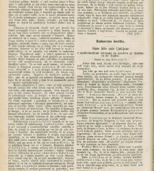 Kmetijske in rokodelske novize(1878) document 519961