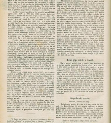 Kmetijske in rokodelske novize(1878) document 520046