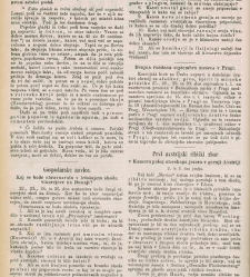 Kmetijske in rokodelske novize(1879) document 520458