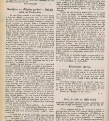 Kmetijske in rokodelske novize(1879) document 520508