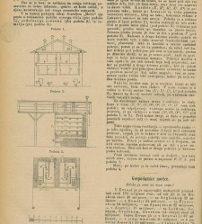 Kmetijske in rokodelske novize(1879) document 520598