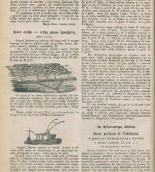 Kmetijske in rokodelske novize(1880) document 520704