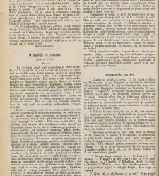 Kmetijske in rokodelske novize(1880) document 520722