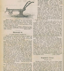 Kmetijske in rokodelske novize(1880) document 520738