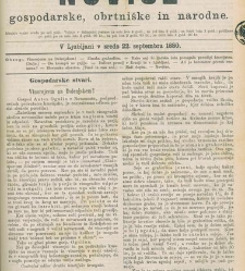 Kmetijske in rokodelske novize(1880) document 520956
