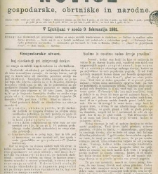 Kmetijske in rokodelske novize(1881) document 521106