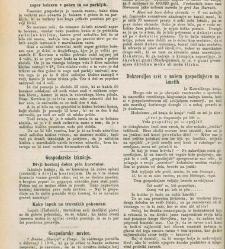 Kmetijske in rokodelske novize(1881) document 521295