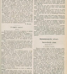 Kmetijske in rokodelske novize(1882) document 521663