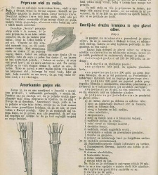 Kmetijske in rokodelske novize(1883) document 522050